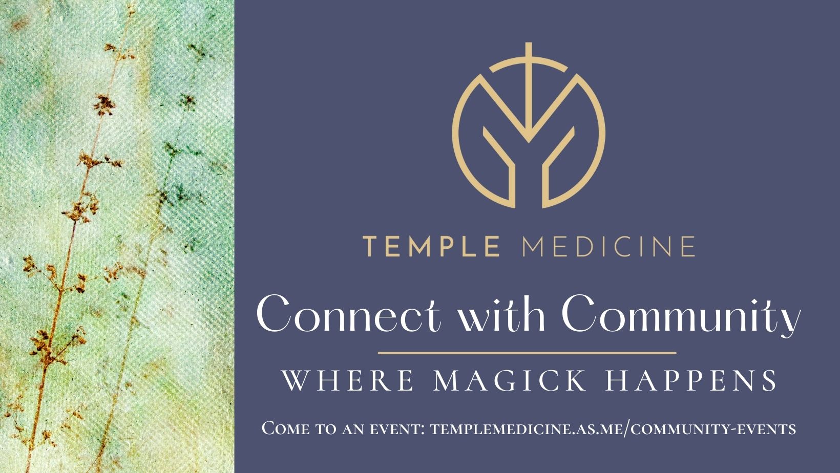 Connect with Temple Medicine Community